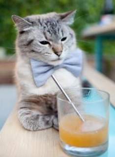 kaiyun开云·官方网站-《王者荣耀线上世界杯,LGD战队力压群雄夺冠》,王者荣耀2020世界冠军杯战队