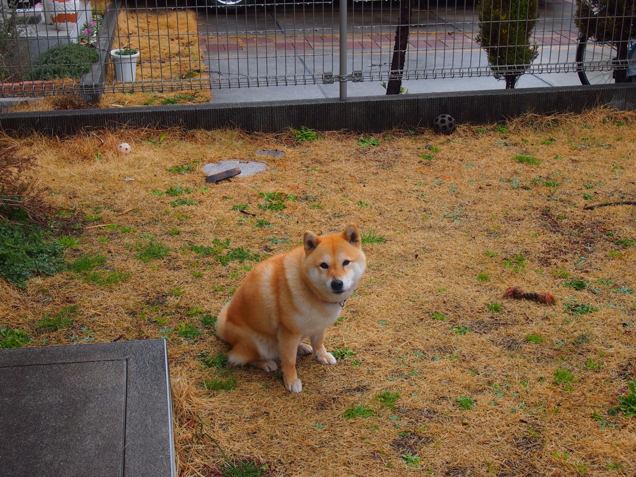 开云中国-全数字化驾驶舱：未来的驾驶体验，数字驾驶舱更新3.0