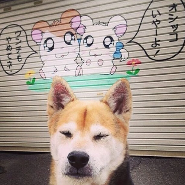 开云入口-日本男足奥运赛场再创历史,日本男足奥运会名单