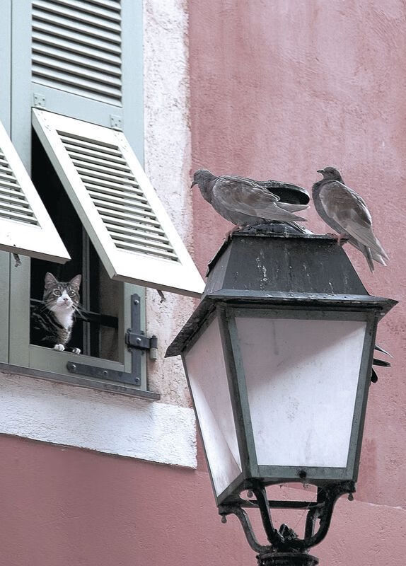 kaiyun登录入口-篮球公益课程覆盖城乡多个社区推广，公益篮球培训方案