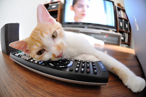 Kaiyun APP-青少年“篮球+科普”趣味体验日在南京广泛展开，推广运动知识，青少年篮球训练小游戏