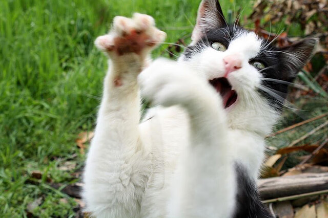 开云·Kaiyun网页版-江苏反攻取胜,险胜对手取得连胜,江苏反杀事件结果