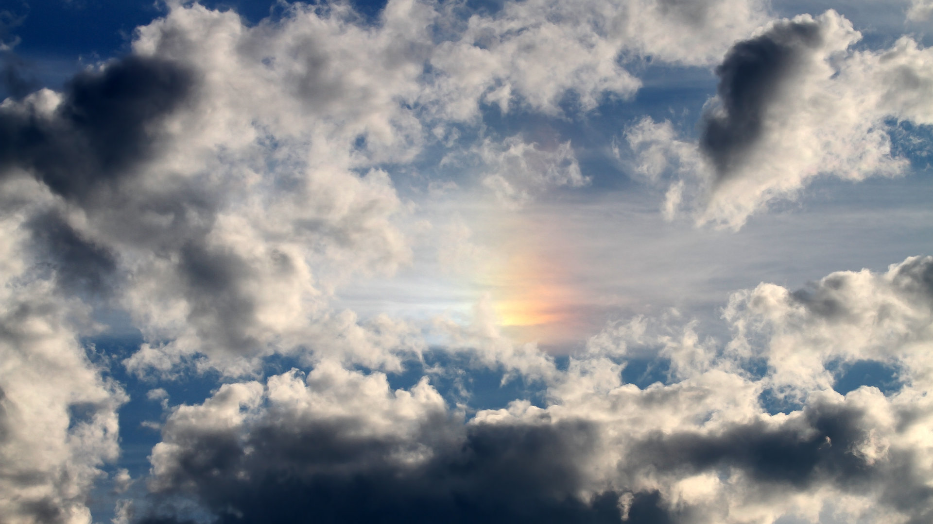 开云·体育官网-焦点乒乓球冠军夺冠历程，焦作乒乓球冠军