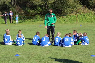 kaiyun中国官方网站-中国篮球教练员战术创新能力培养模式,中国篮球教练员战术创新能力培养模式有哪些