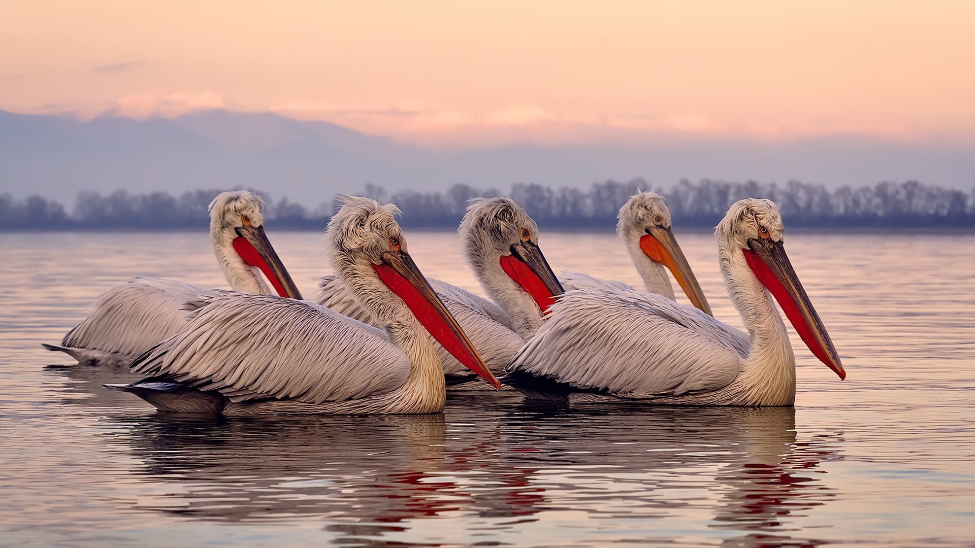 kaiyun开云·官方网站-英超VAR判罚中语义理解辅助技术的应用与局限,足球var裁判有几个