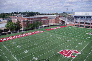 开云网页版-青少年乒乓球运动发展路径与实践成果