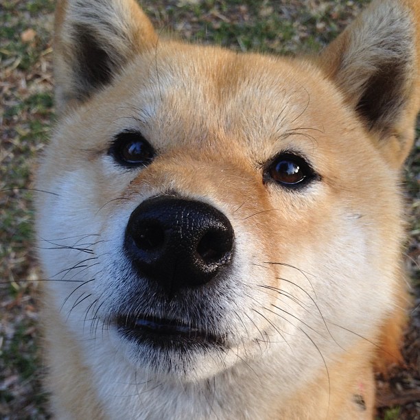 kaiyun中国官方网站-世界杯中国女足迎战 战术部署展现变化,中国女足世界杯亚军视频