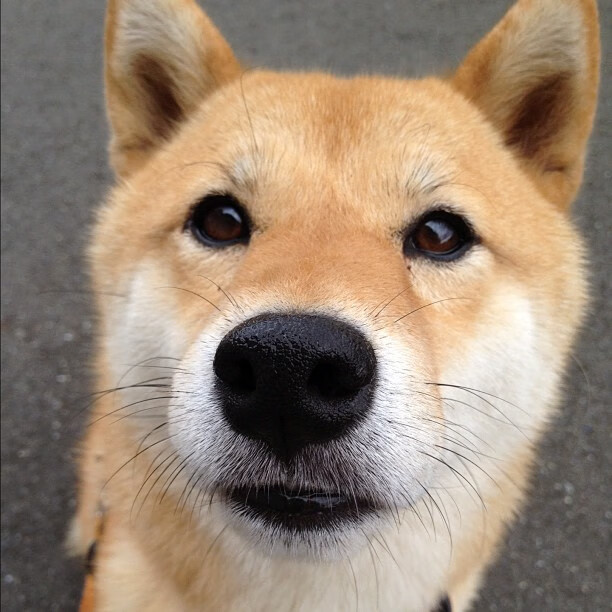 开云中国大陆-中国女篮打出整体篮球展现团队实力,中国女篮队员都是谁