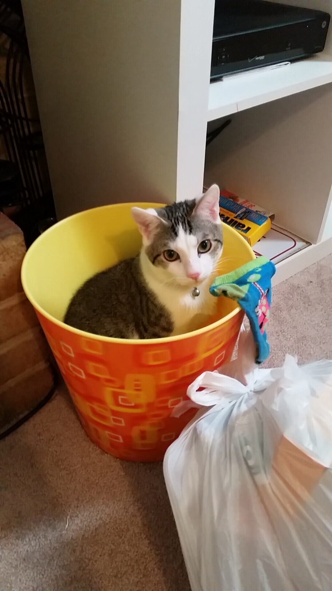 kaiyun开云·官方网站-球员心理辅导资源缺乏专业性